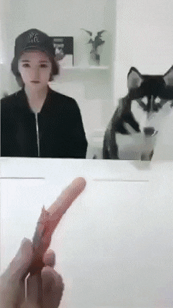 Отвлекалочка на время обеда