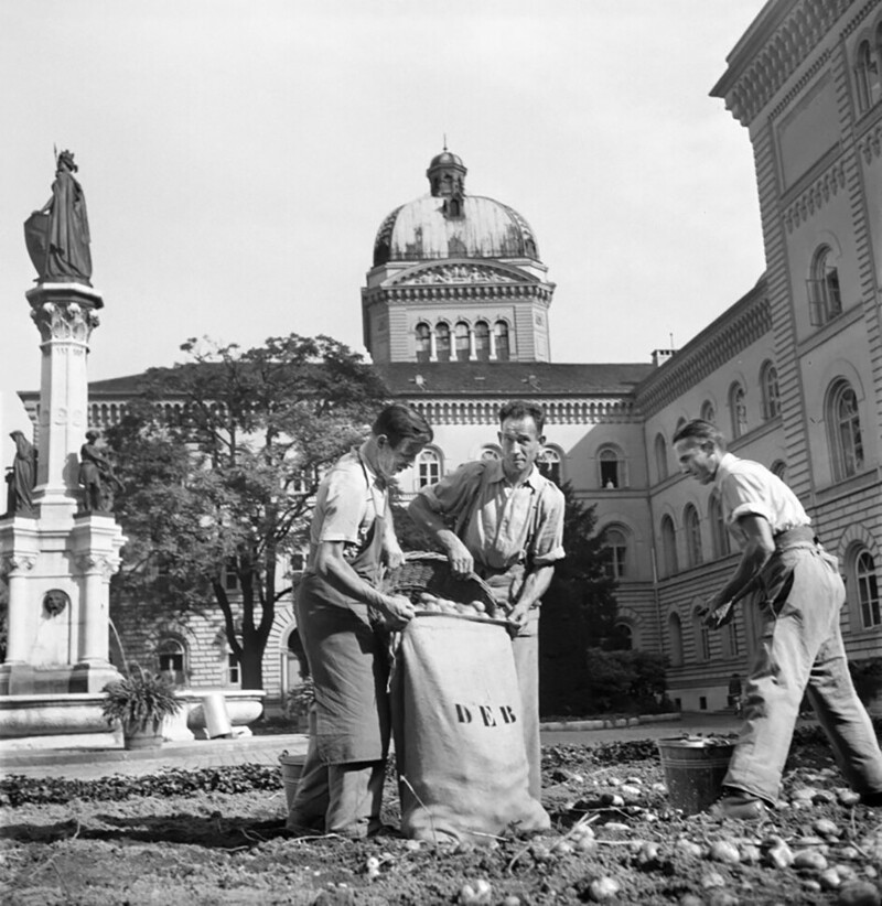 Сбор картофеля перед зданием швейцарского парламента в Берне во время нехватки продовольствия. 1944 год