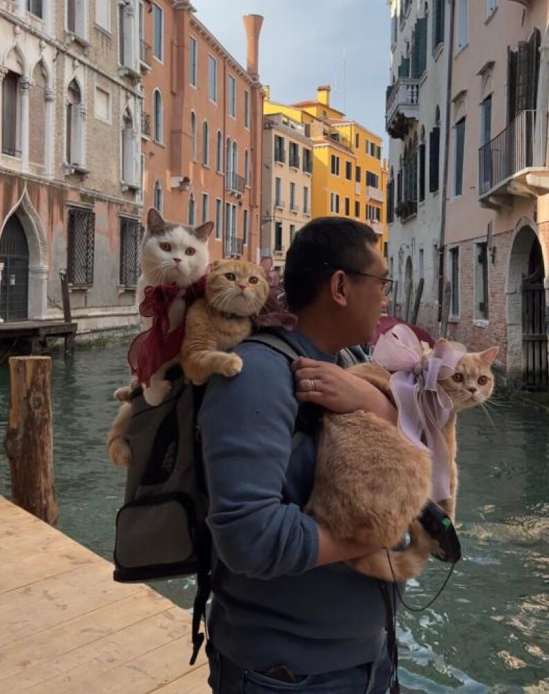 Фото пары из путешествий с кошками: