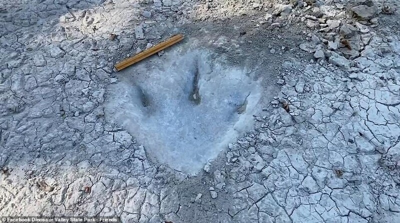 В Техасе нашли следы динозавра