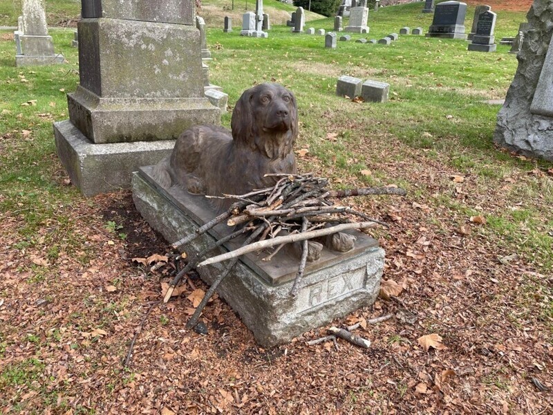 Вместо цветов люди несут палки к могиле этой собаки