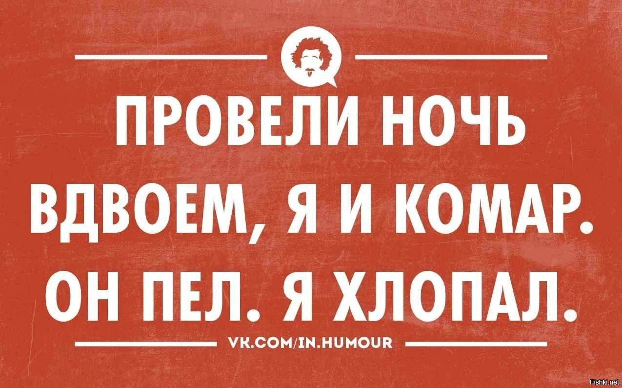 Прикол на ночь картинка