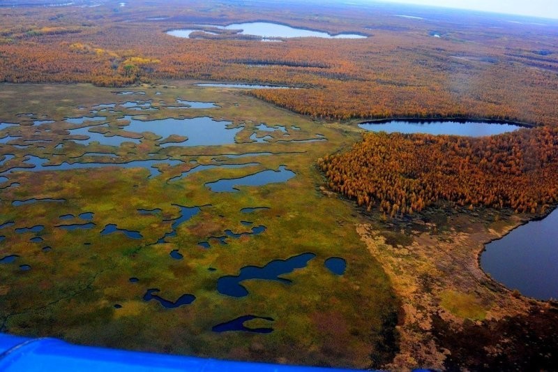 Васюганские болота: секреты крупнейшей в мире топи