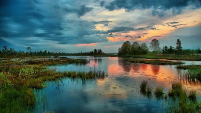 Васюганские болота: секреты крупнейшей в мире топи