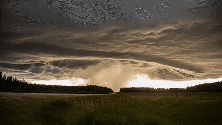 Просто гифки, всякие и разные