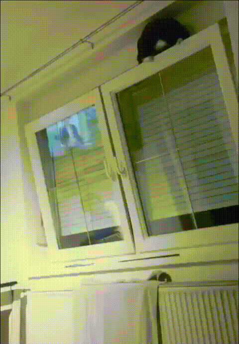 Просочился через окно