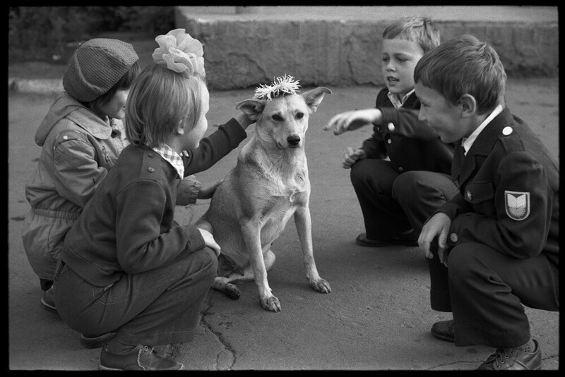 "Венок для собаки в День Знаний". Школа № 8, 1 сентября 1983