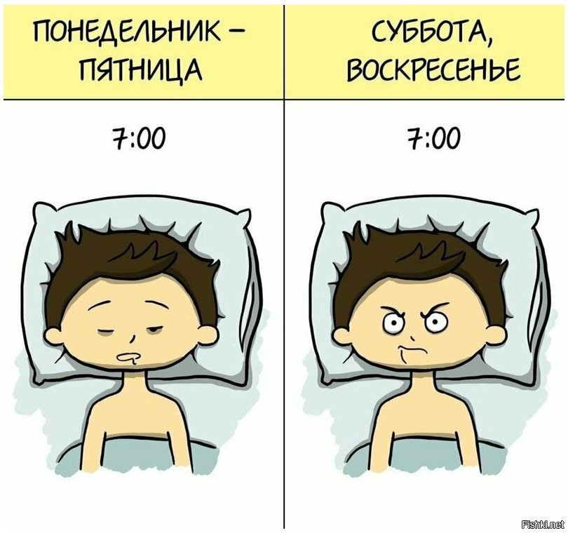 Утро очень странный предмет в будни спать хочется картинки