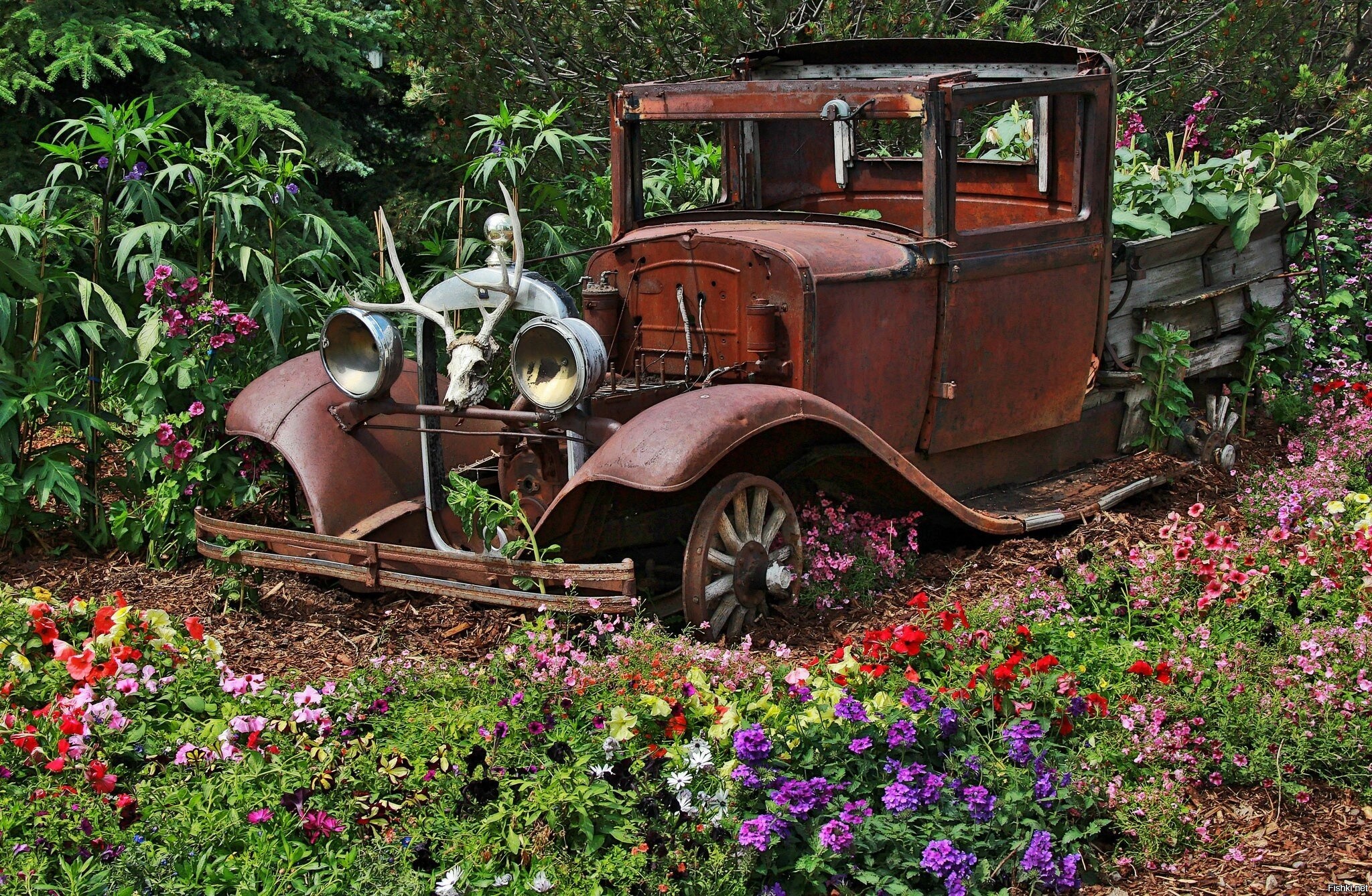 Запущенный сад машина