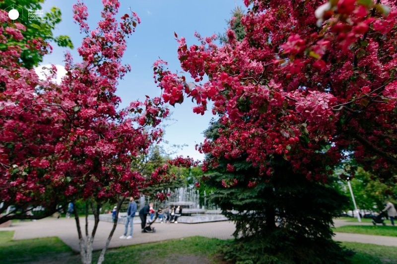 Где остановиться и что посмотреть: полезные советы для путешествия по России