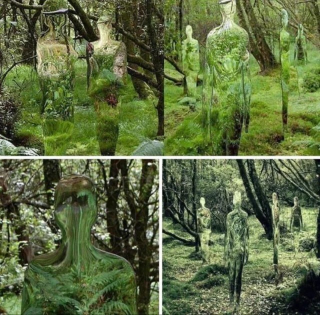 Зеркальные скульптуры в лесу Роберта Малхолланда