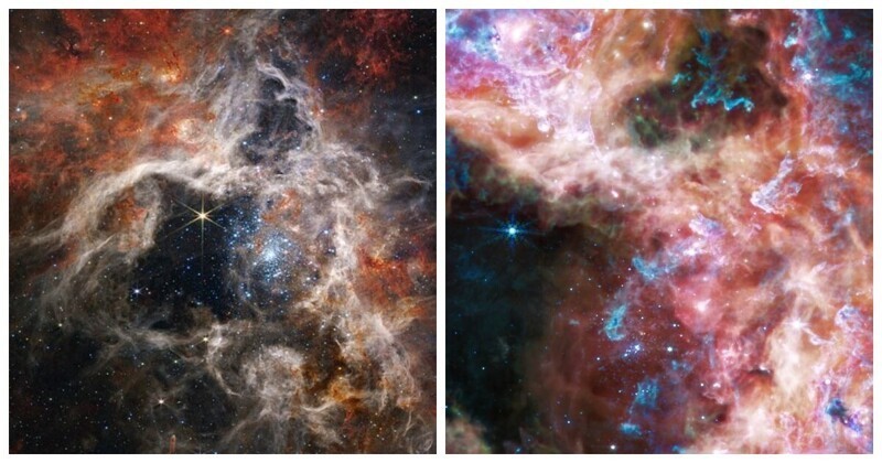 Телескоп «Джеймс Уэбб» впервые показал тысячи молодых звёзд в туманности Тарантул