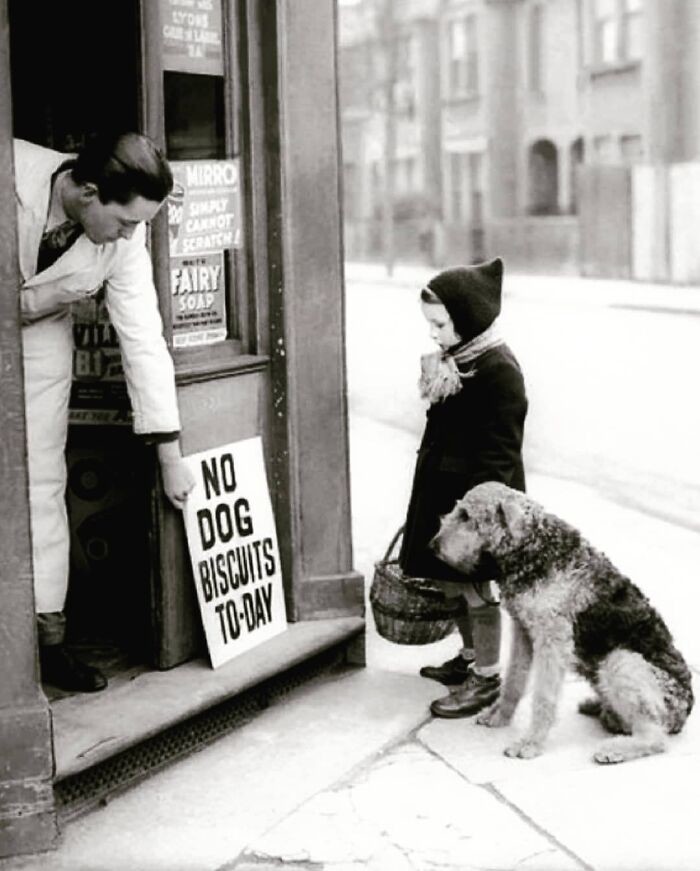 24. "Собачьих галет сегодня нет", Лондон, 1939 год