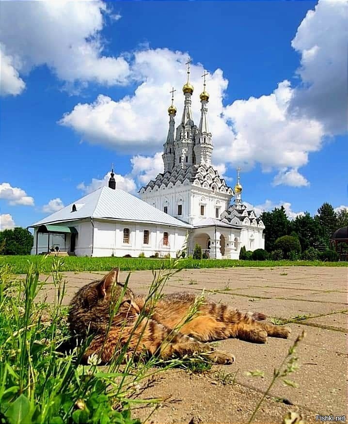 Смотритель 2022