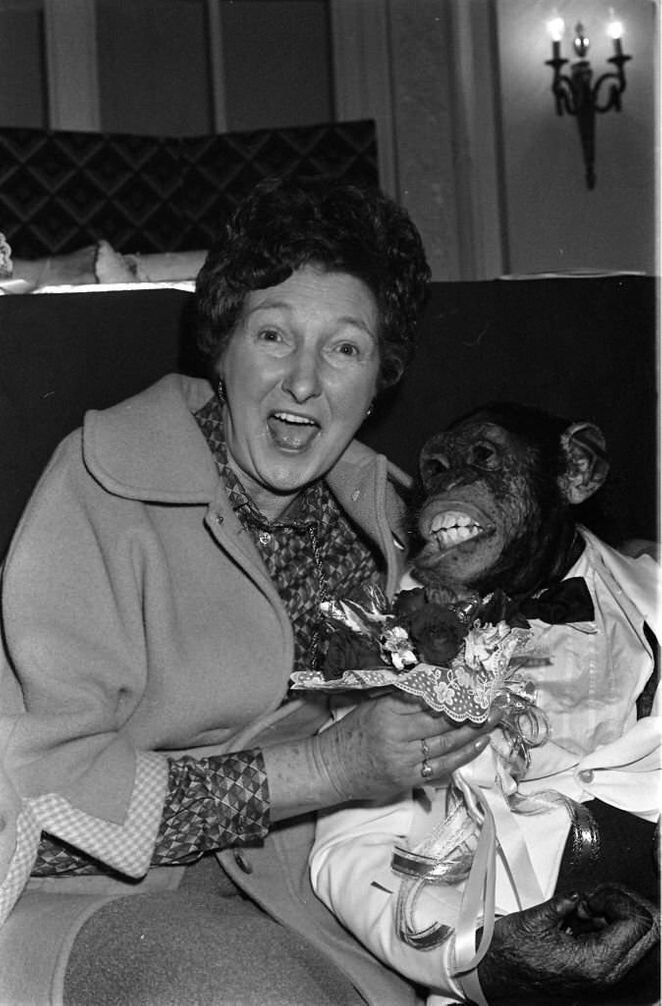 Пэт Кумбс с шимпанзе