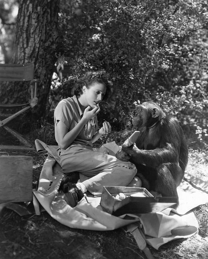 Молли Ламонт с шимпанзе, 1936 год