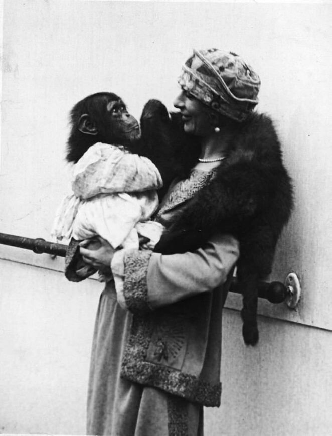 Фанни Брайс с шимпанзе, 1930-е годы