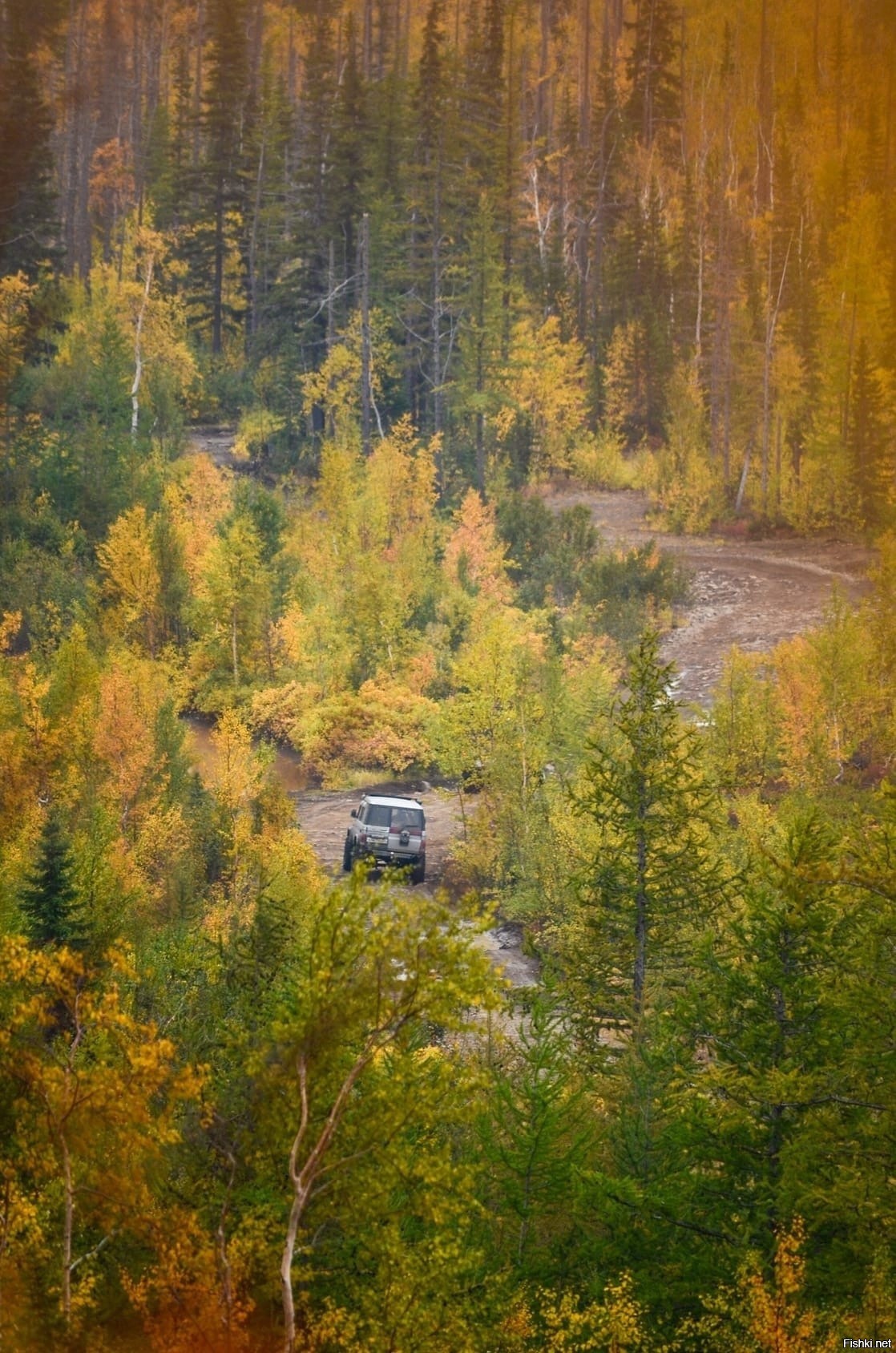 Гора сокол норильск