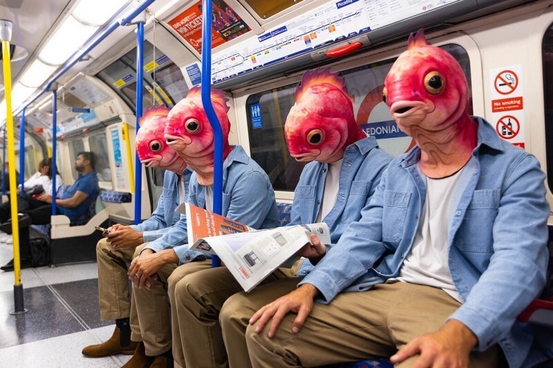 Фотоподборка