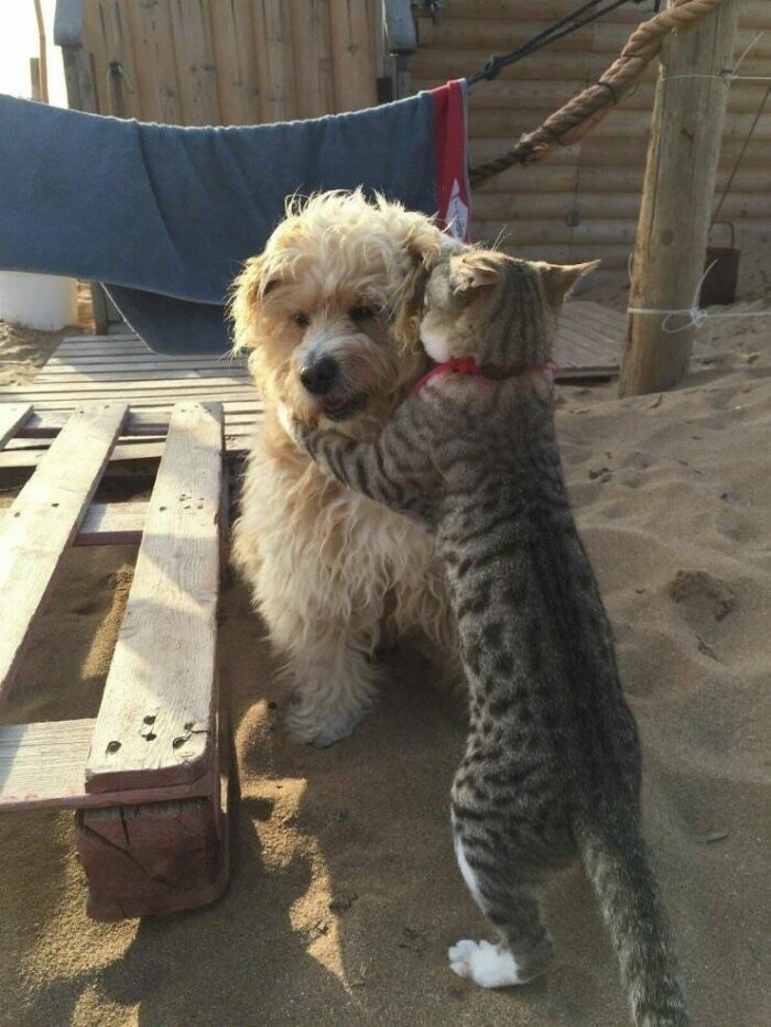 На позитиве