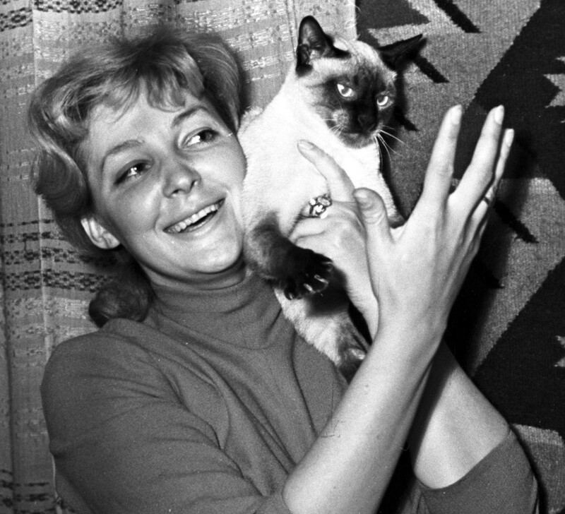 Актриса Ирина Скобцева с сиамской кошкой, 1958 год