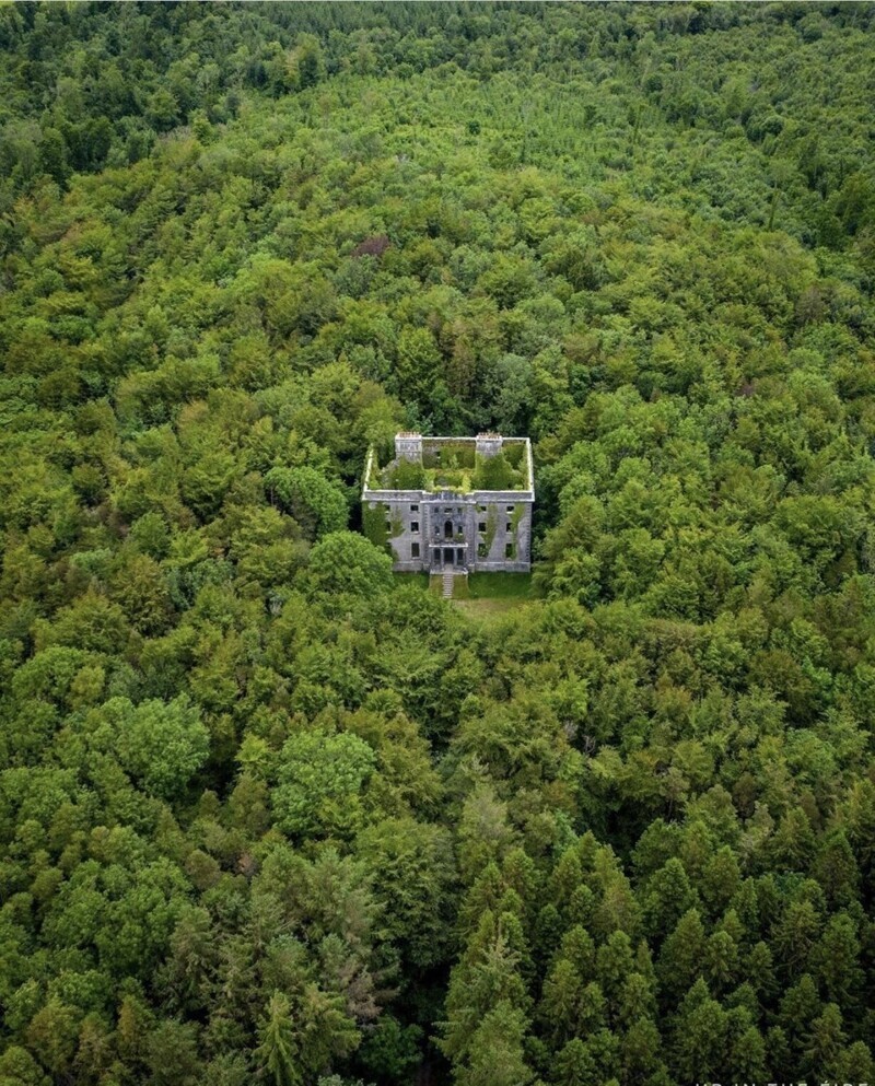 Особняк в ирландском лесу
