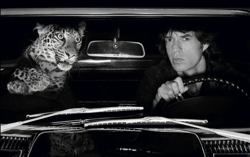 Мик Джаггер с леопардом, 1992 год