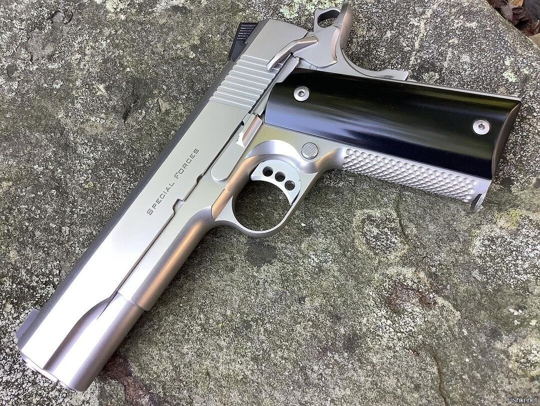 Special brown. Ed Brown 1911 Special Forces.