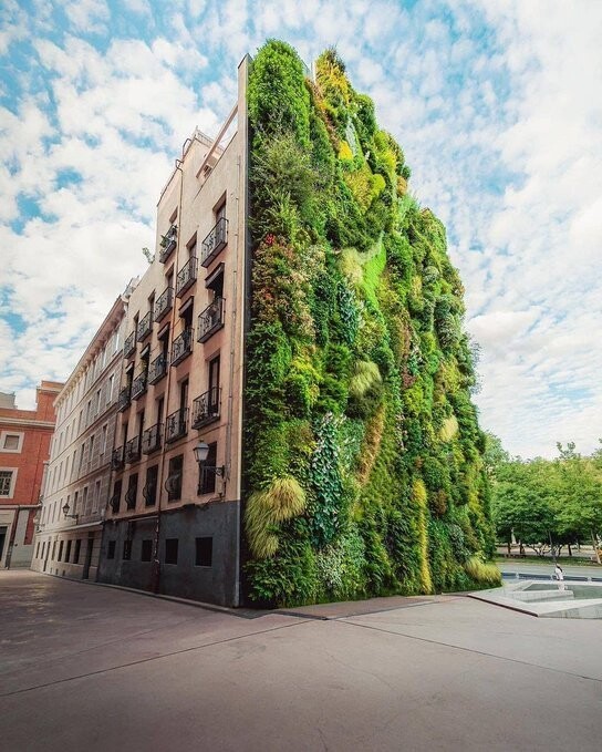 5. Здания с вертикальным озеленением. Мадрид, Испания