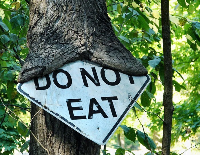 1. На знаке написано "Не ешьте". Но деревья не умеют читать
