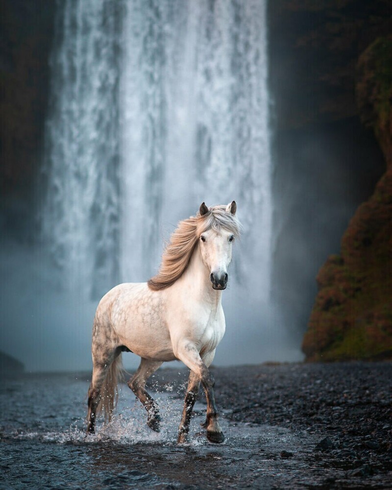 Возле исландского водопада Скогафосс