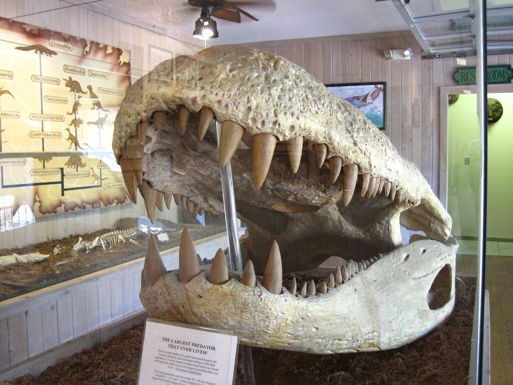 Древний крокодил весом больше автобуса и хваткой в 20 раз более сильной, чем у белой акулы