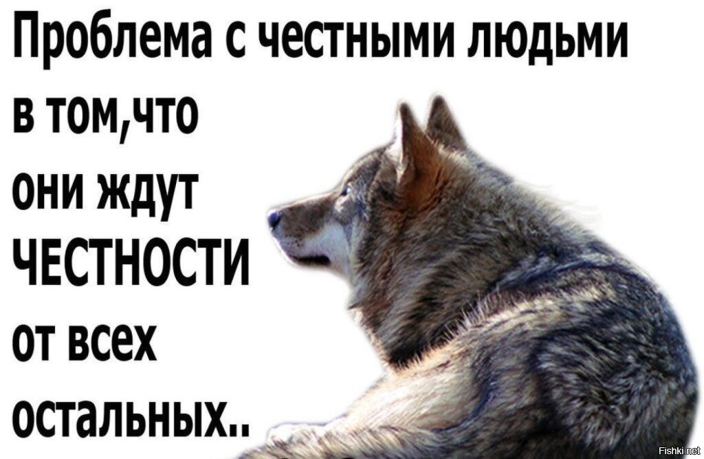 Честный человек никогда