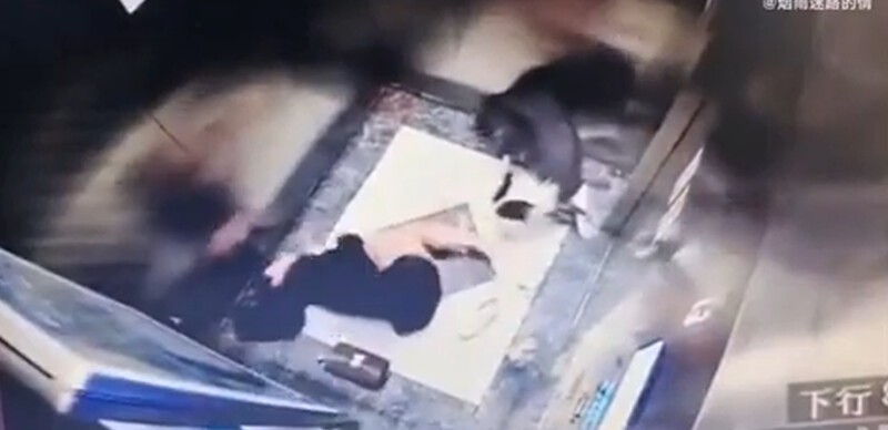 Пёс едва не погиб из-за зажатого лифтом поводка