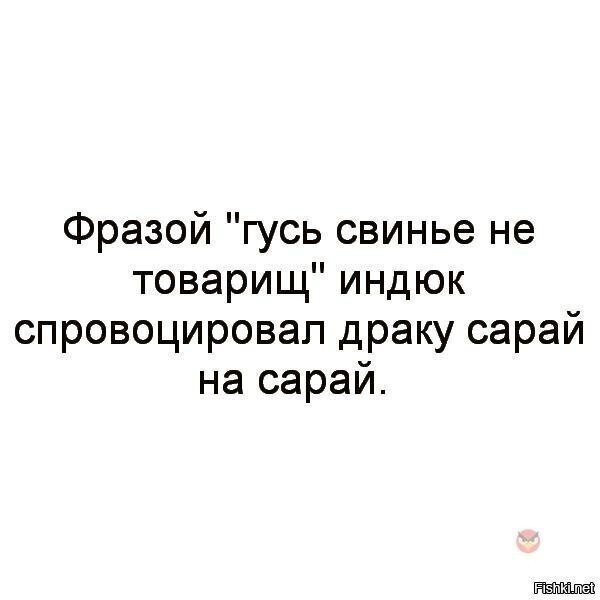 Как с гуся вода картинка. Гусь готов. Цитаты про гусей. Гусь юмор. Что означает фразеологизм гусь лапчатый.