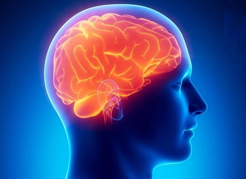 Миф 1: В своей мыслительной деятельности человек использует только 10% своего мозга