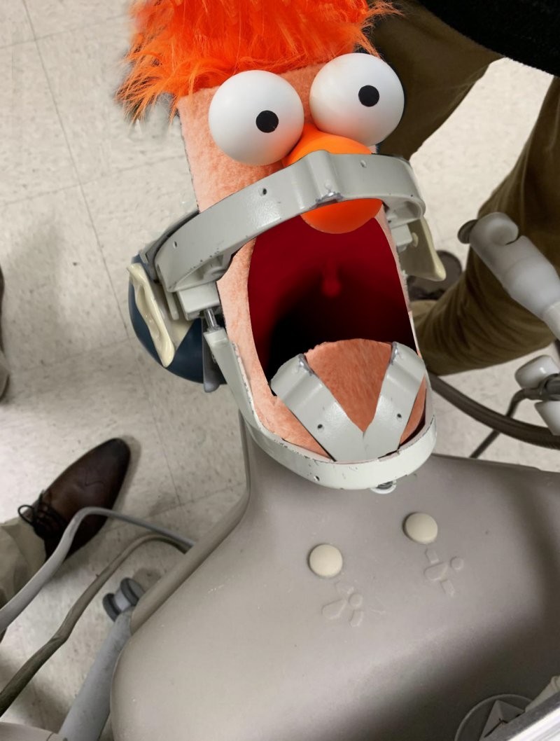 Мастера фотошопа: тренажер в стоматологии стал мемом