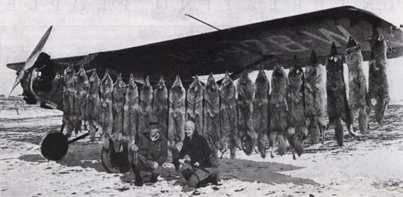 Г-н. и миссис Эд М. Кэнфилд с койотами, застреленными с их самолета. 1932 год