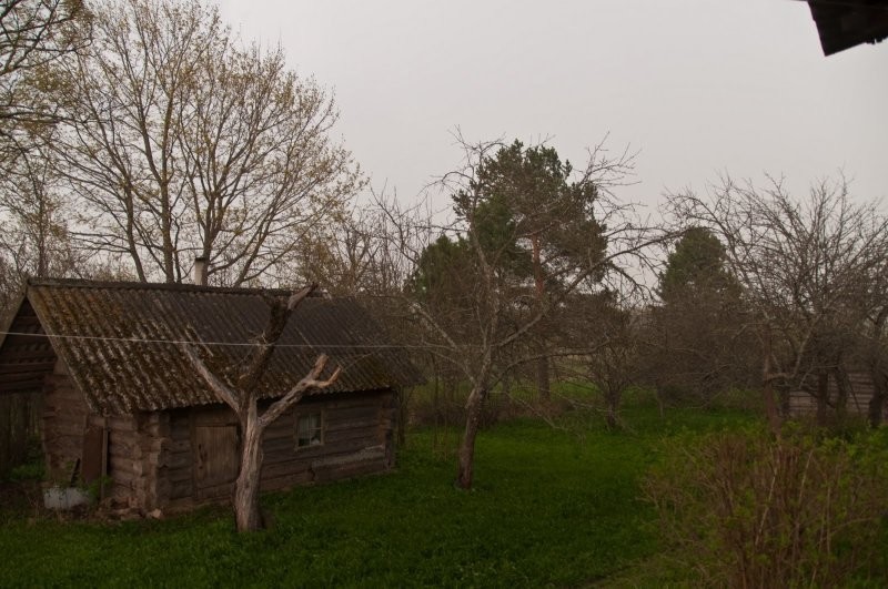 Мрачная тайна деревни Подборное, откуда исчезли все жители