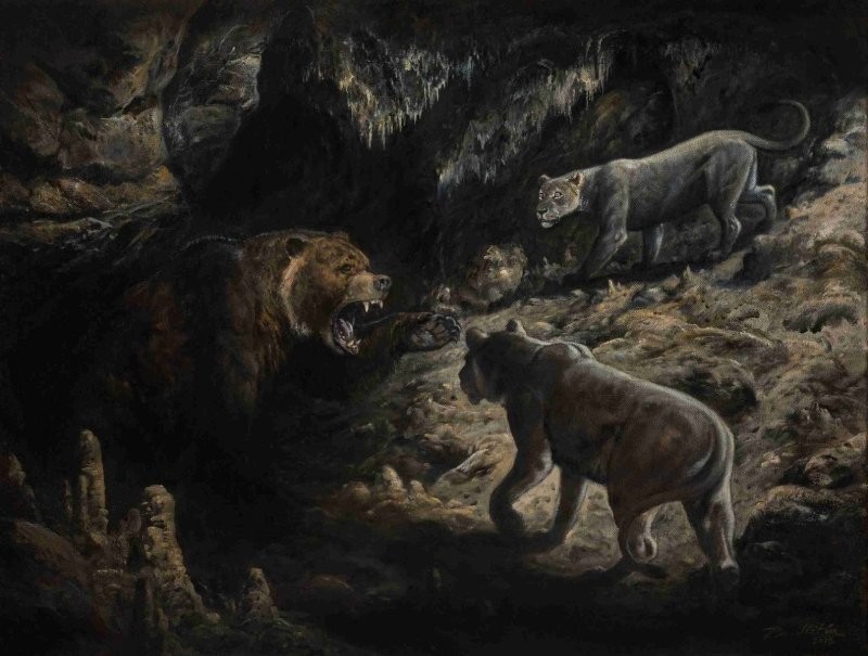 Пещерный медведь: Гигант на 30% больше современных косолапых. Почему он так любил пещеры, и кто ему мог угрожать?