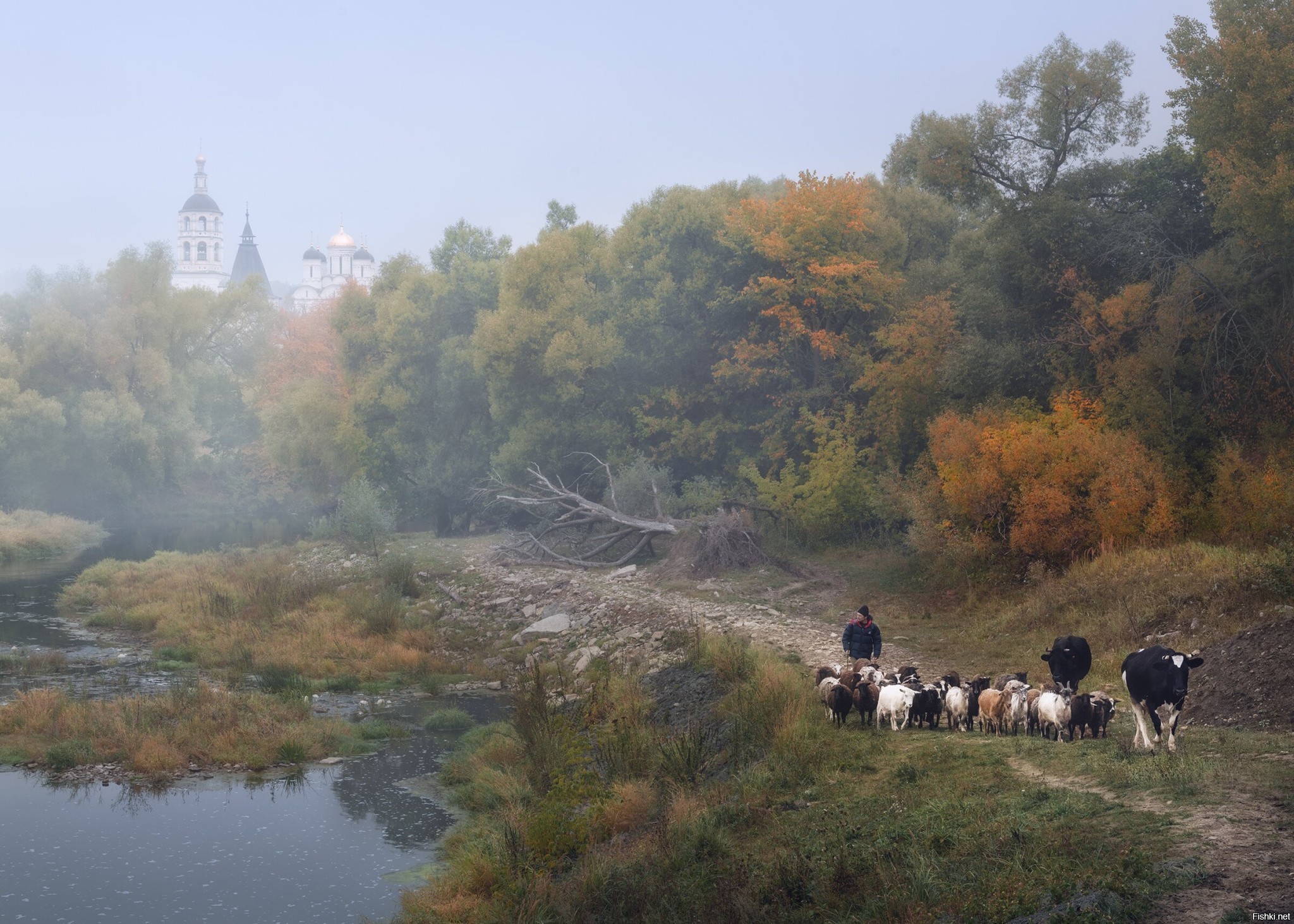 Фотограф домой