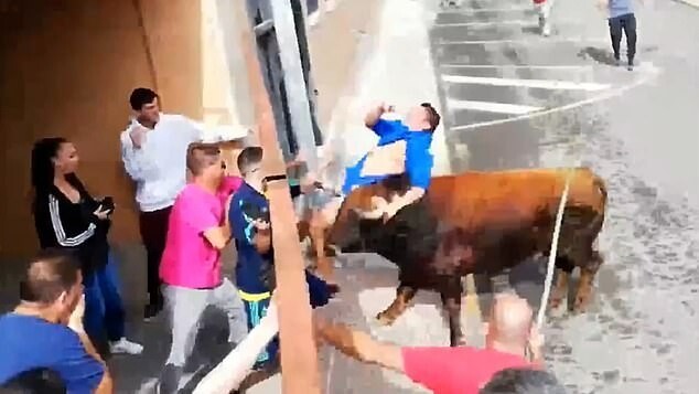 Праздник с быками в Испании снова окончился плачевно