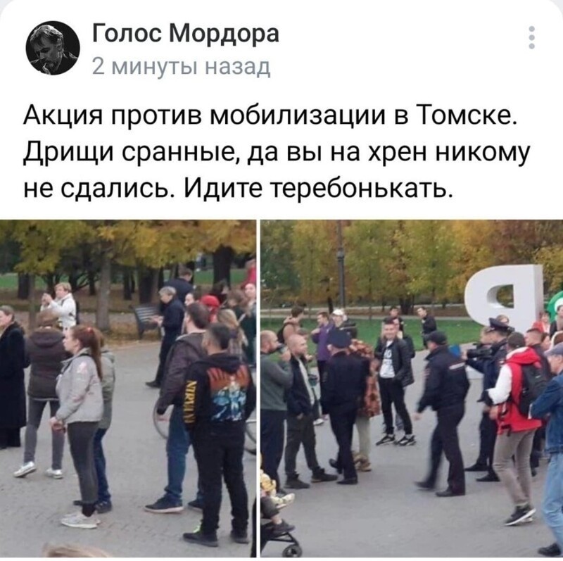 О политике и не только