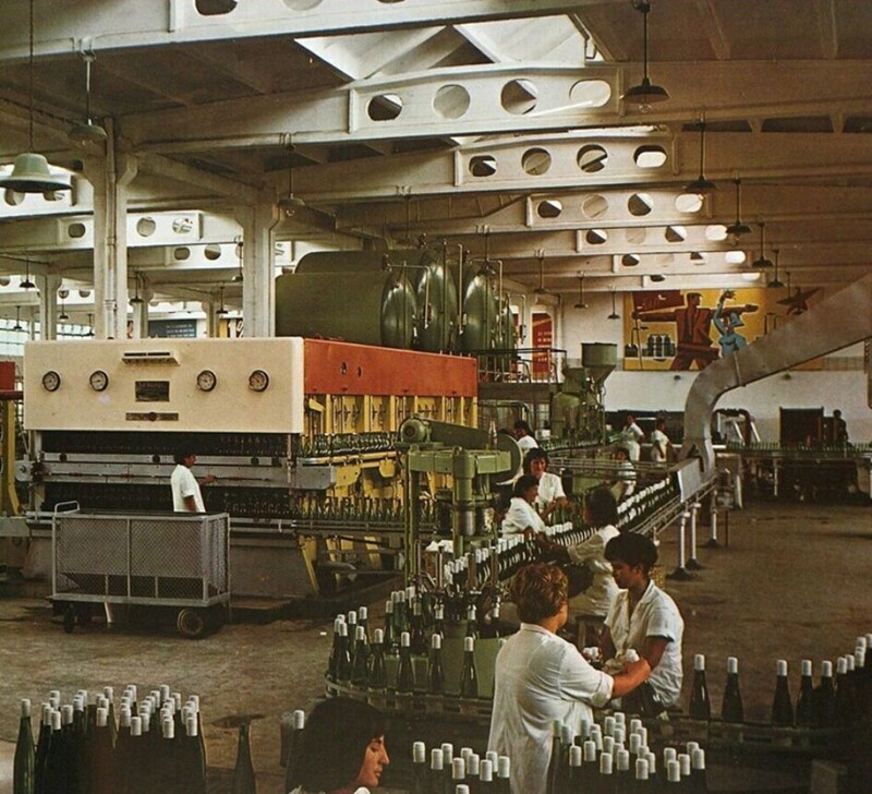В те времена, Болгария славилась своими винами. На фото винный завод, София, 1960-е годы