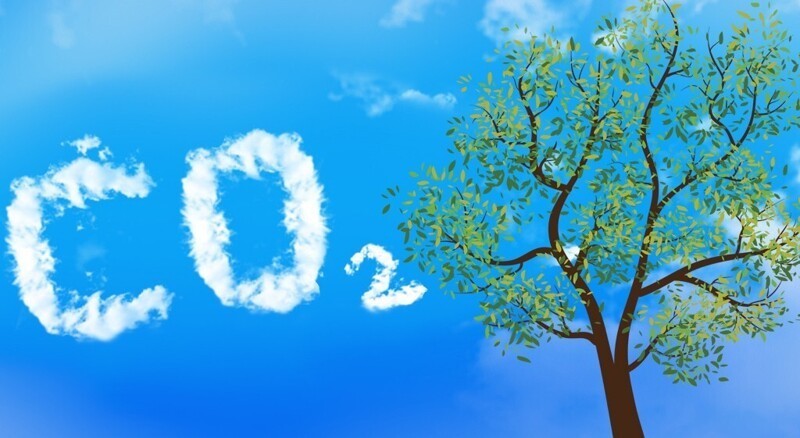 12. Механизм, который может имитировать переработку CO2 деревьями в большом масштабе
