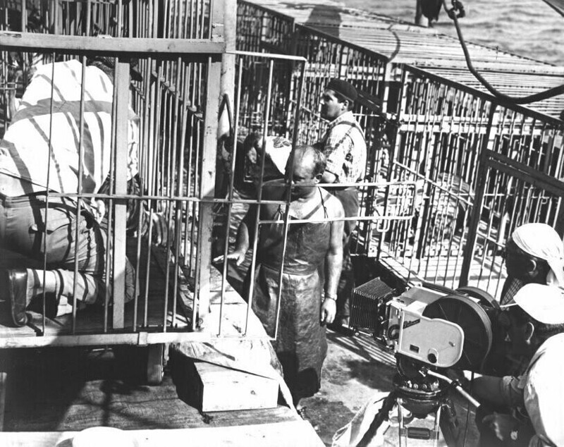 Евгений Леонов репетирует с тиграми на съёмках фильма «Полосатый рейс», 1961 год.