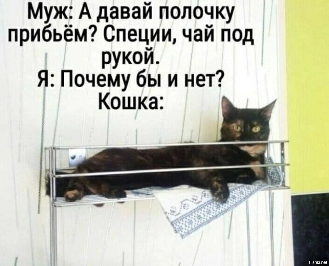 Шутки про заблудилась. Его нет под рукой. Если вам кажется что у меня опустились руки. Повалил дым. Когда опускаются руки цитаты.