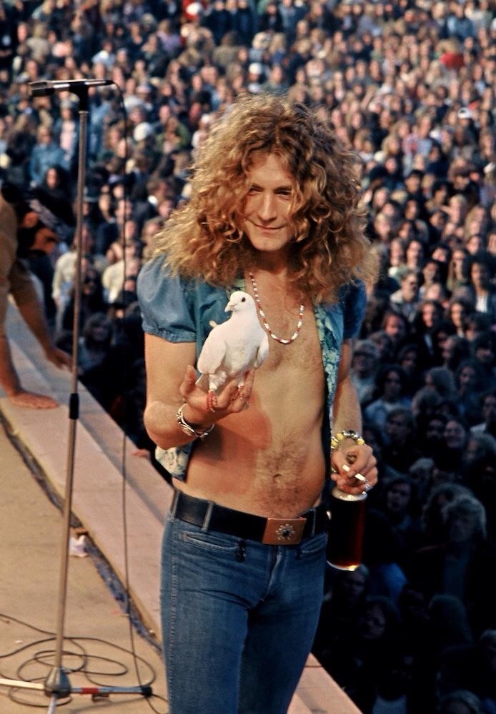 6. Роберт Плант из группы Led Zeppelin держит голубя, который прилетел ему в руки во время концерта в 1973 году