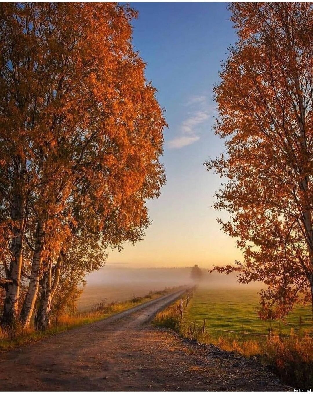 Пейзаж осеннее утро. Пейзаж осени. Красоты России. Октябрь природа. Осень прекрасная пора.