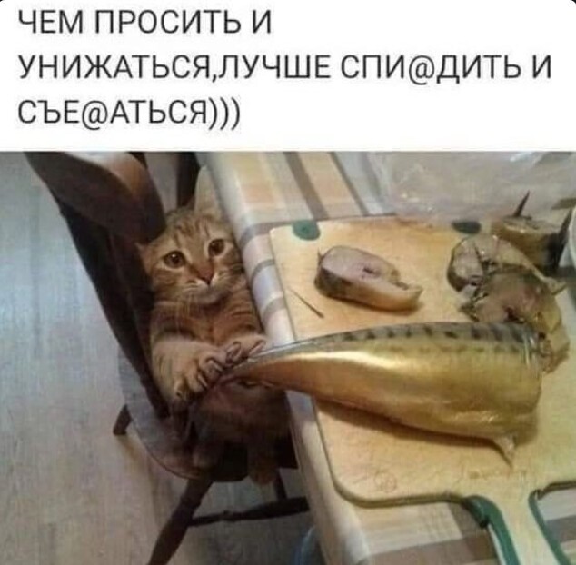 Йожика картинки. Выпуск 213